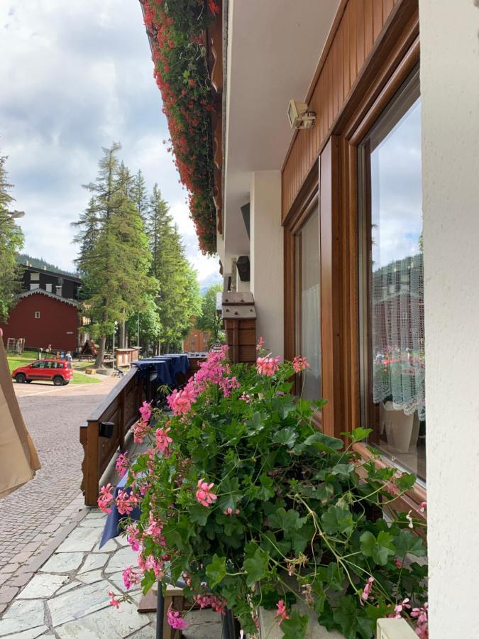 Hotel Capriolo 모데시모 외부 사진
