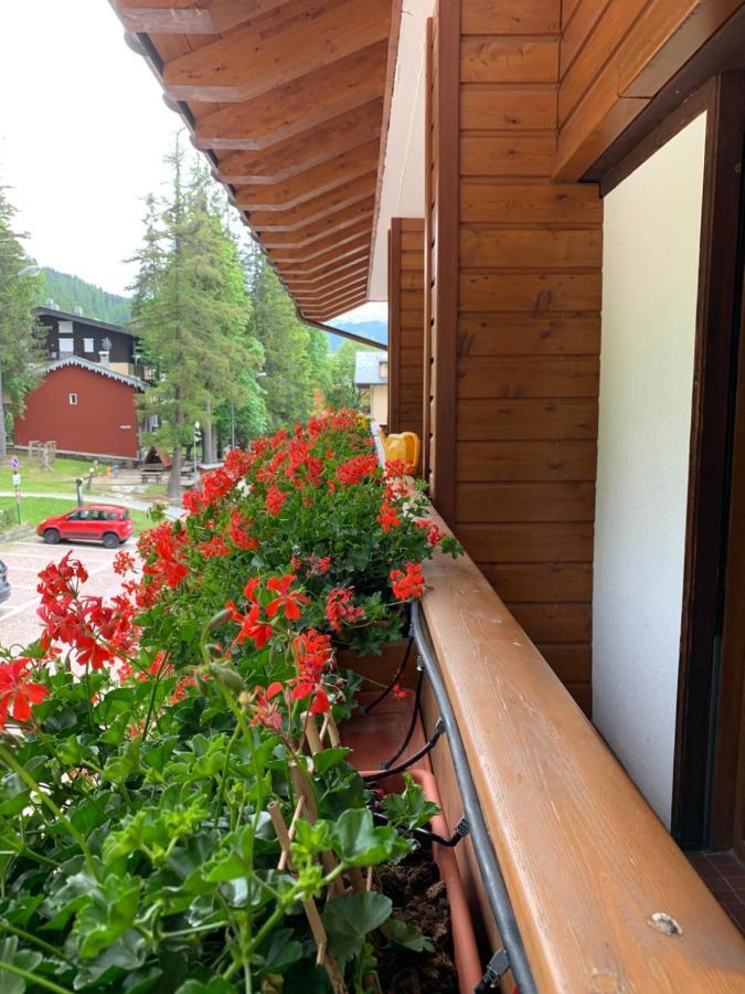 Hotel Capriolo 모데시모 외부 사진